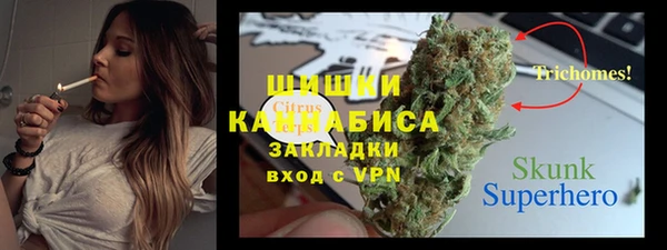мдпв Дмитров