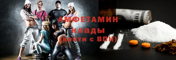 мдпв Дмитров