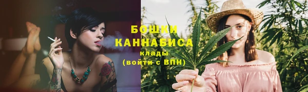 мдпв Дмитров