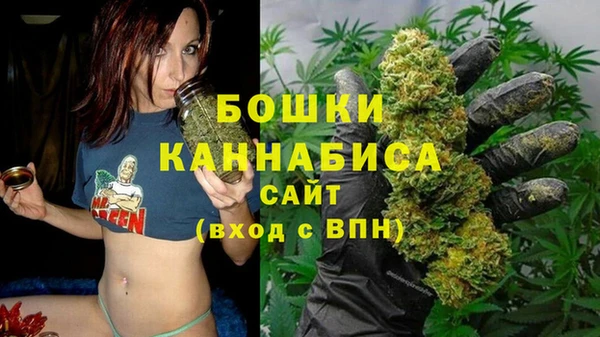 мдпв Дмитров