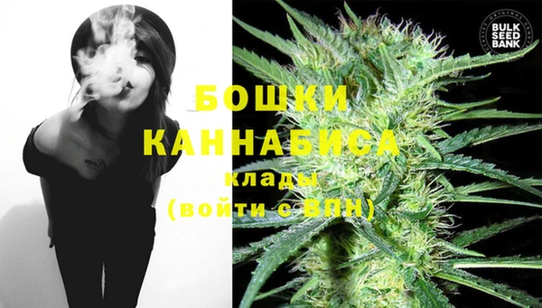 мдпв Дмитров