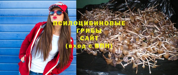 мдпв Дмитров