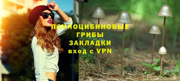 мдпв Дмитров